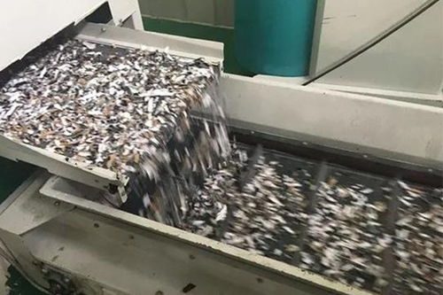 张家窝镇工业废料与电子废弃物销毁处理项目开发方案