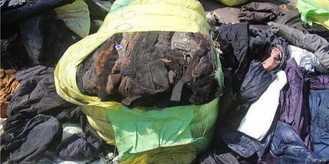 中国禁运洋垃圾与国际固废技术发展新趋势