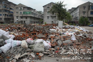 小区环境治理 从脏乱差到整洁美的蜕变之路